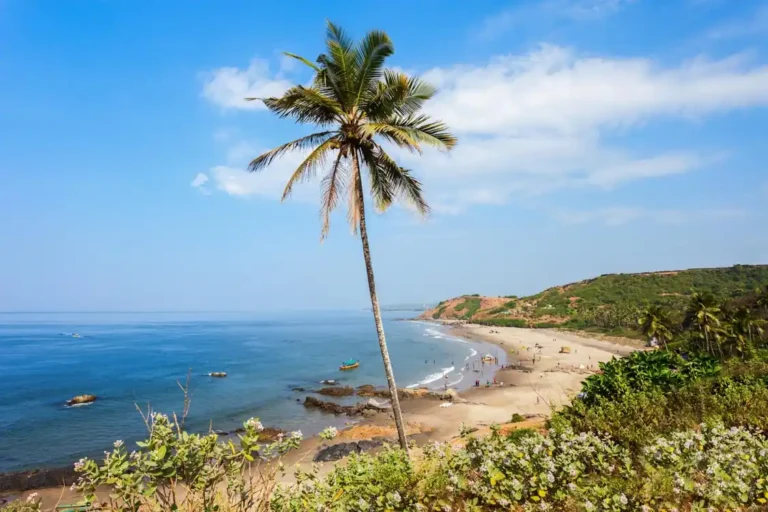 Baga Beach - Where Travel Meets Transformation