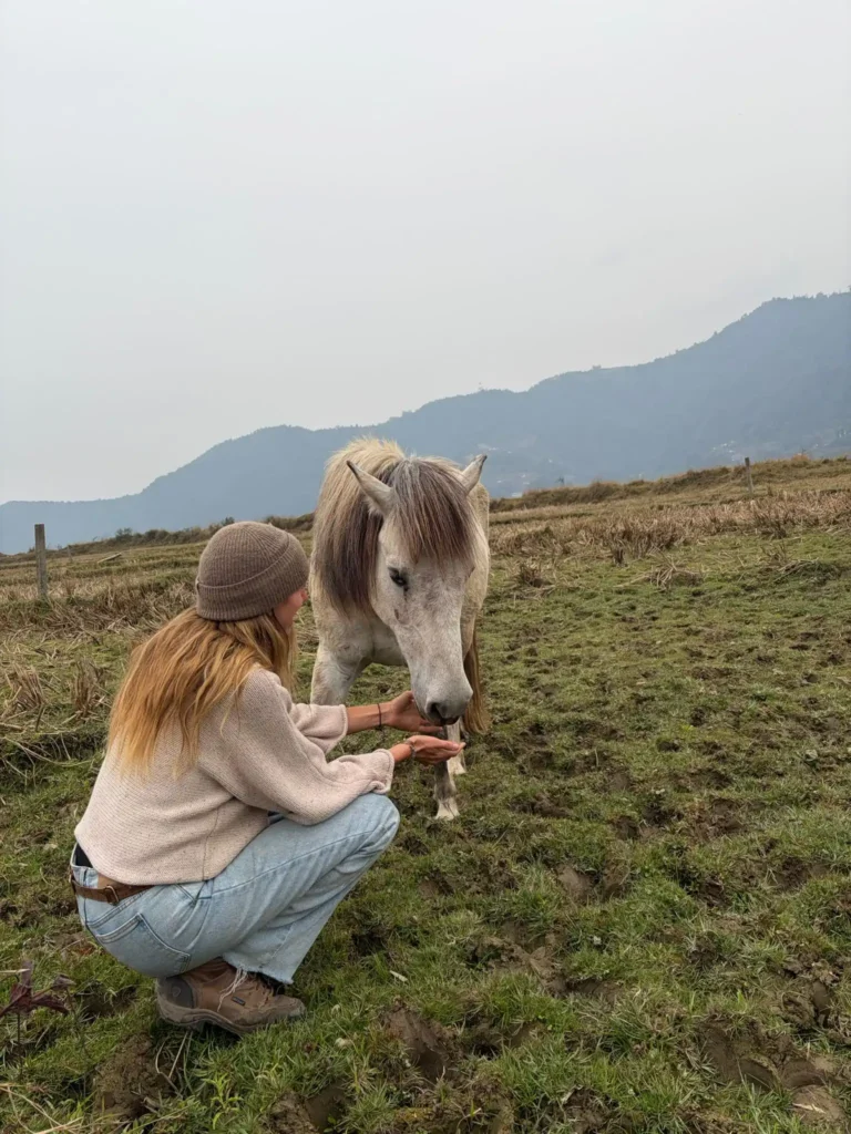 spiritual horse healing